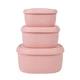 BLUE GINKGO Nesting Silicone Food Storage Containers - Set of 3 Hard-Shell