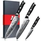 Damascus Knife Set 3 PCS 8 Japanese Super Steel Chef Kitchen SHAN ZU High Carbon