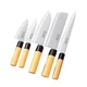Japanese Kitchen Knife Set of 5 (Wooden Box Case) Mr. Takaaki Nakamura