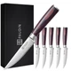PAUDIN Steak Knives Set of 6, Kitchen Steak Knife 4.5 Inch, High Carbon Stain...