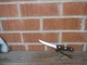 1980s Vintage 4" Blade *** CHICAGO CUTLERY 103S *** Steak Knife Lot of 1 USA