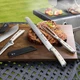 Cangshan S Series 7 Pc BBQ Premium German Steel Cutlery Knife Set (Choose Color)