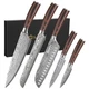 Sunnecko Kitchen Knife Set 5 Piece Chef Knife Set Professional High Carbon Stain