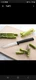 RADA CUTLERY W201 Regular Paring - Black Handle (blade 3 1/4", overall 6 3/4")
