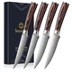 Sunnecko Razor-Sharp Steak Knives Set of 4,Premium 4.5 inches, 4 