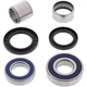 All Balls Wheel Bearing Kit - Double Seal - Rear | 25-1475