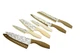 Carote Kitchen Knife Set 6 Piece Floral Pattern Blades With Sheaths Beige Tan