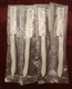 Four (4) Brand New Cutco #1798 DD Mini Trimmer/Utility Sample Knife&nbsp;/&nbsp;PEARL