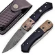 Aisha Tech Custom Hand made pocket knives Damascus Blade Horn handle AT-2795