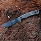 ESEE Ashley Emerson Fixed Knife 3.5" 1095HC Steel Blade Green Micarta Handle