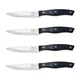 Chicago Cutlery Ellsworth 4-Piece Steak Knives, 4.5" Stainless Steel Blades f...