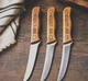 Vintage Chicago Cutlery 103S Set of 3 Wood Handle Steak Knives USA Stainless