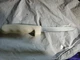Dexter Russell S136 Sani-Safe Stiff 6" Blade Boning Knife Mint Acrylic Handle