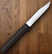Rada Cutlery Regular Paring Kitchen Knife 3.25" T420 Steel Blade Resin Handle