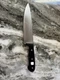 Wusthof Gourmet Knife 4562 / 20 cm 8" Made in Germany