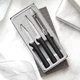 RADA CUTLERY G256 KITCHEN BASICS GIFT SET BLACK RESIN HANDLE MADE IN USA