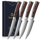Sunnecko Razor-Sharp Steak Knives Set of 4,Premium Stainless Steel Serrated S...