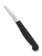 Spyderco Kitchen Mini Paring Knife 2.25" Plain Edge Stainless Steel Blade K09PBK