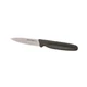 Dexter Russell P40843 Paring Knife 3 1/4In