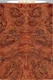 Stabilized Shimmering Orange Curly Maple Burl knife scales #1055, 6" x 2 1/16"