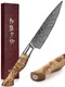 HEZHEN 5 inch Utility Knife with Razor Sharp- Damascus Steel with Rose Patter...