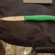 ZWILLING J.A. HENCKELS 38094-100 Paring Knife 4in Green Ice Hardened No Stain