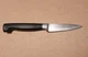 Zwilling J A Henckels 31070-080 3" Paring Knife Solingen Germany