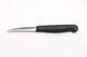 SPYDERCO Mini Paring Knife 2" Plain Wharncliffe Blk Polypropylene Handle K09PBK