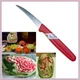1 Pcs Carving Knife KIWI Stainless Craft Tool Cut Fruit Vegetable Thai Food, 001