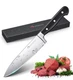 GHOSDLICH 8 Inch Chef Knife Kitchen Knife Forged from German Stainless Steel ...