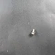 Samsung DA60-00001B Screw-special