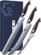 HOSHANHO Carving Knife Set 3PCS, Japanese High Carbon Steel Brisket Slicing Knif