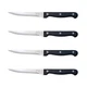 Chicago Cutlery Essentials 4-Pc Steak Set