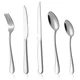 Eisinly 20-Piece Silverware Set Service for 4, Food Grade Stainless Steel Fla...