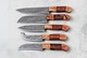 CUSTOM HAND MADE FORGED DAMASCUS STEEL CHEF KNIFE SET KITCHEN KNIVES 06