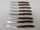 Lot of 8 CUTCO 1059 vintage wooden curved handle serrated steak knives USED GOOD