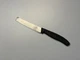 Victorinox Swiss Army 3" Spear Point 6.7733