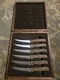 Set of 10 Vintage Chicago Cutlery Stainless Steel Wood Handled 103S Steak Knives