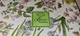NIB Portmeirion Botanic Garden Cheese Knife and 6 Spreader's