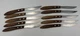 Vintage Bloomfield 3925 Steak Knives Set of 10 Japan Stainless Wood Handle 8.25&rdquo;
