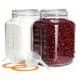 PUSCRIENO 2 Pack 1.1 Gallon Square Super Wide Mouth Airtight Glass Storage Jars