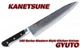 Kanetsune Damascus 210mm GYUTO Kitchen Knife KC-102 NEW
