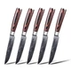 Seido Knives, 5-Piece Full Tang Straight-Edge Steak Knives Table Cutlery
