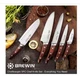 Brewin CHEFILOSOPHI Japanese Chef Knife Set 5 PCS with Elegant Red Pakkawood
