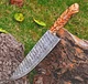 Professional Damascus Chef Knife Custom HandMade - Hand Forged Damascus Stl 2795