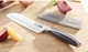 Princess House  CULINARIO SERIES II 5" Santoku Knife (3736) New!