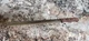 R. H. Forschner Victorinox  14" Serrated Carver Slicer Wood Knife Switzerland